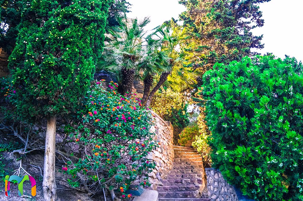 escaleras-parque-torres